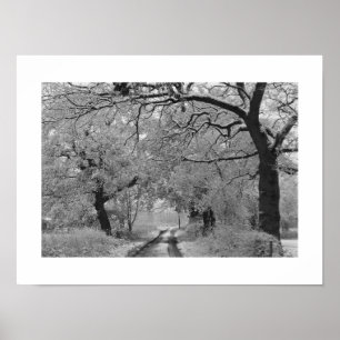 Land Road in Winter: Cheshire, England Poster