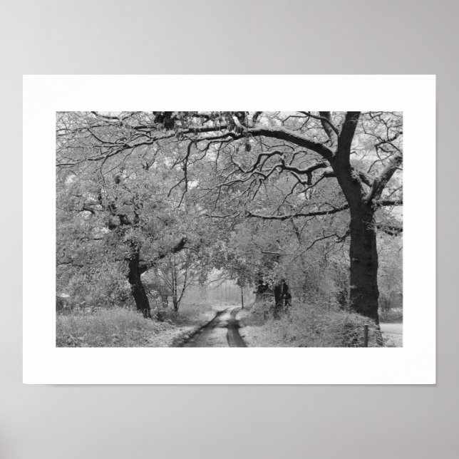 Land Road in Winter: Cheshire, England Poster (Framsidan)