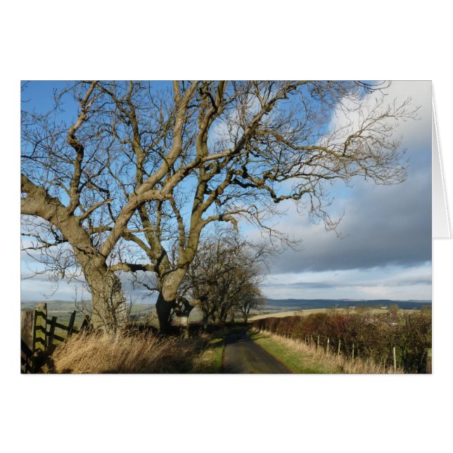 "Land Road" Northumberland England Hälsningskort (Framsidan Horizontal)
