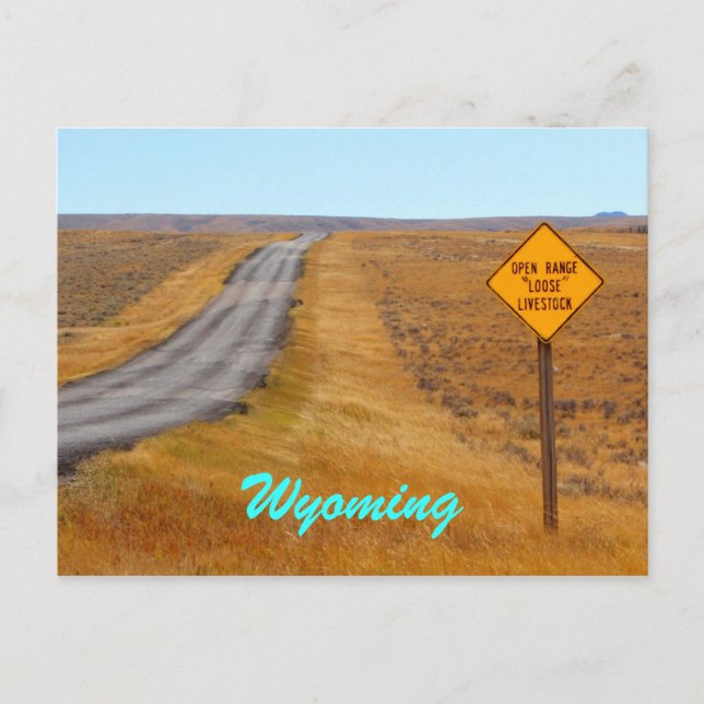 Land Road Open Range Wyoming Vykort (Framsida)