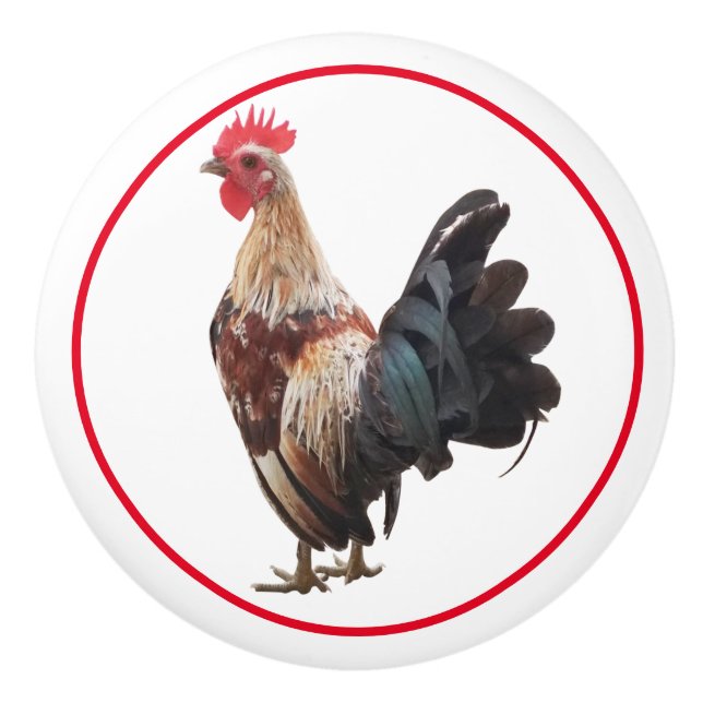 Land Rustic Farmhouse Chicken Knopp (Framsidan)