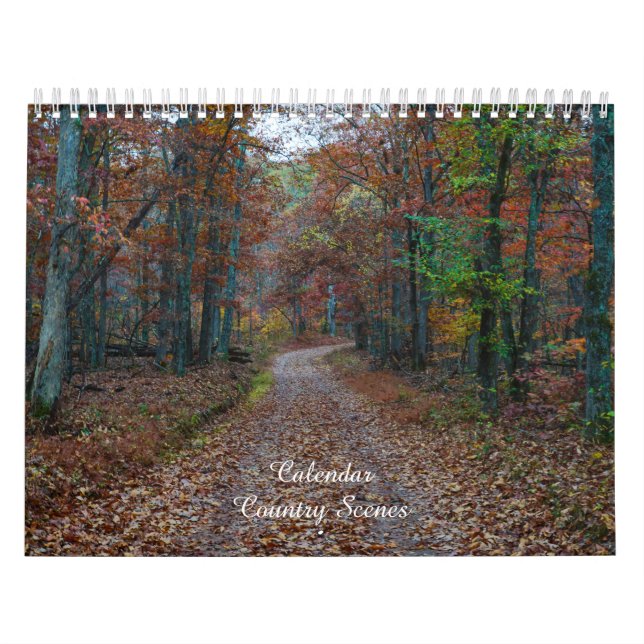 Land Scenes Calendar Kalender (Omslag)