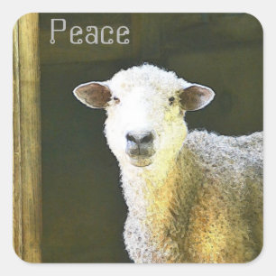 Land Sheep Peace Fyrkantigt Klistermärke