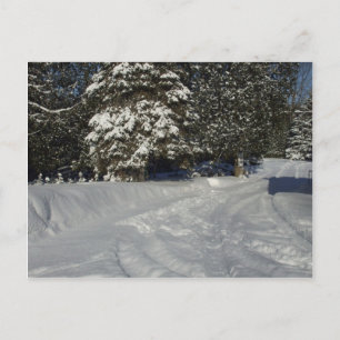 Land Snowy Driveway Vykort