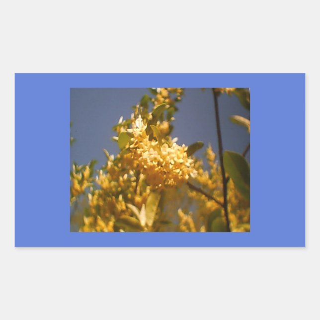 Land Sommar Blommigt Rektangulärt Klistermärke (Framsida)