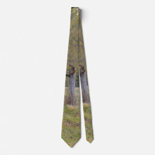 Land-stängsel och en ekorre Neck Tie Slips