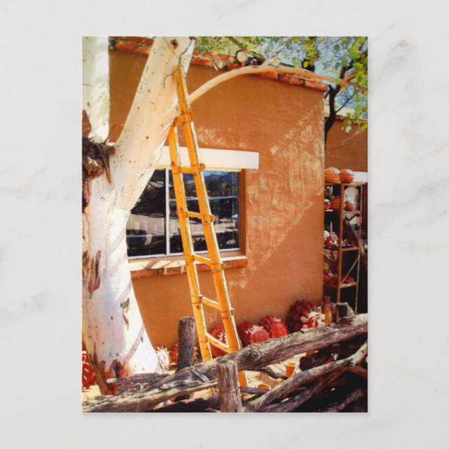 Land Store, Tubac, Arizona Vykort (Framsida)