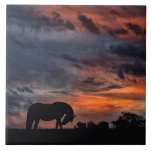 Land Sunrise Kakelplatta