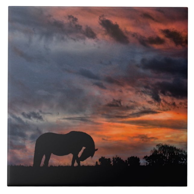 Land Sunrise Kakelplatta (Framsidan)