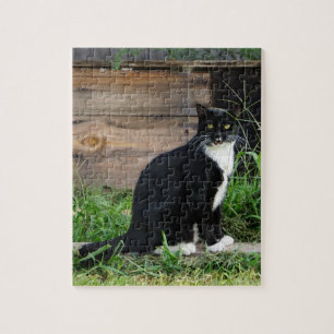 Land Tuxedo Cat Pussel