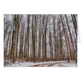 Land väg in i Snowy Skogen Hälsningskort