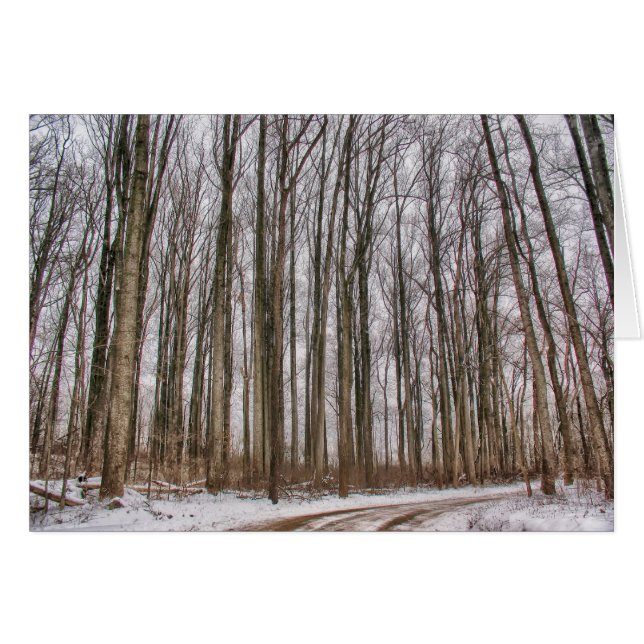 Land väg in i Snowy Skogen Hälsningskort (Framsidan Horizontal)