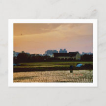 land vibe sunset Vår