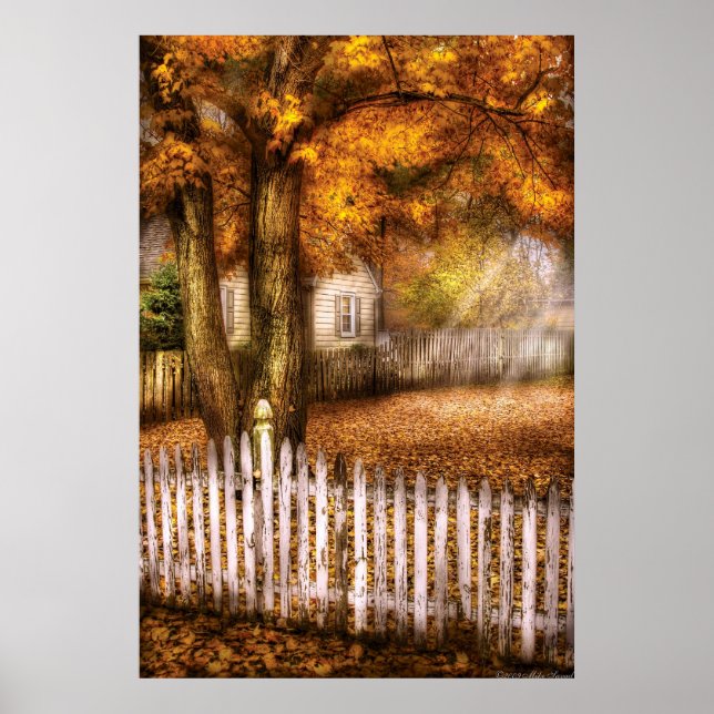 Land - Vit staket Poster (Framsidan)