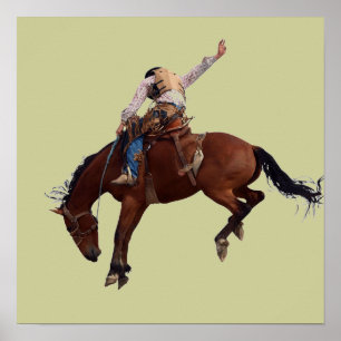 Land Western  Rodeo Cowboy Poster