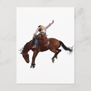 Land Western Rodeo Cowboy Vykort
