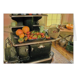 Land Wood Stove OBS Kort