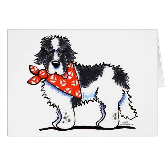 Landeer Newfie Sailor Hälsningskort (Framsidan Horizontal)