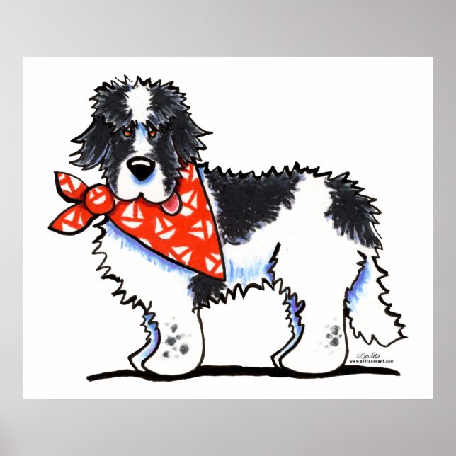 Landeer Newfie Sailor Poster (Framsidan)