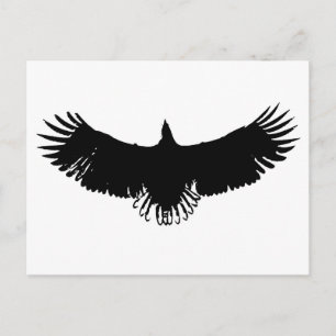 Landing Eagle Silhouette Vykort