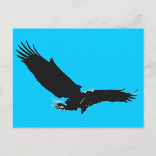 Landing Eagle Silhouette Vykort