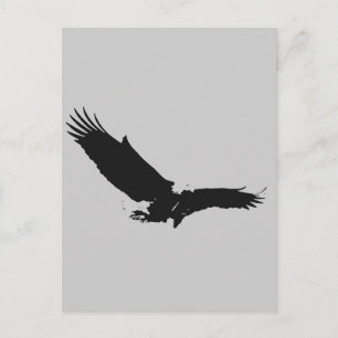 Landing Eagle Silhouette Vykort