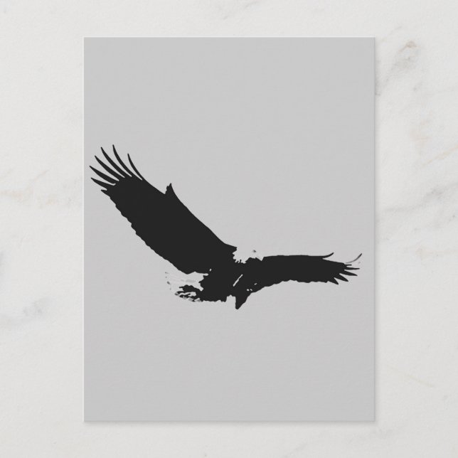 Landing Eagle Silhouette Vykort (Framsida)