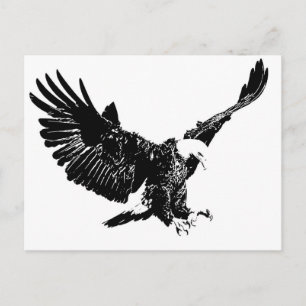 Landing Eagle Silhouette Vykort