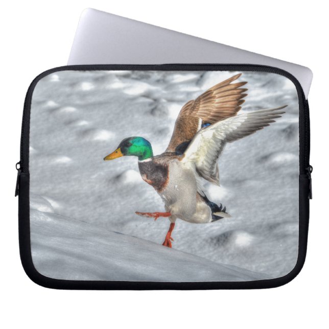 Landing Mallard Anka Drake 4 Wildlife Photo Laptop Sleeve (Framsidan)