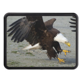 Landing Örn Wildife Photo Art Skydd För Dragkrok