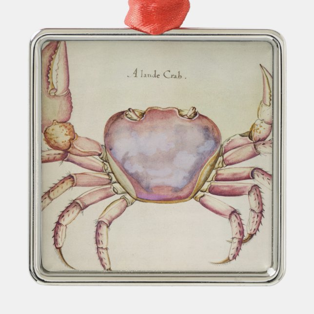 Landkrabba Julgransprydnad Metall (Framsidan)