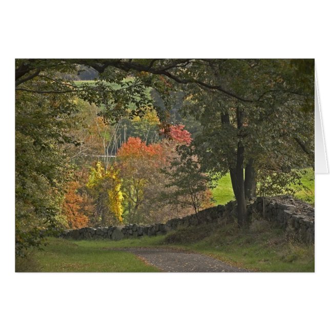 LandLane Hälsningskort (Framsidan Horizontal)