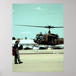 Landning av fågeln poster