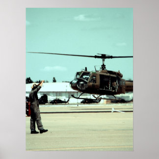 Landning av fågeln poster