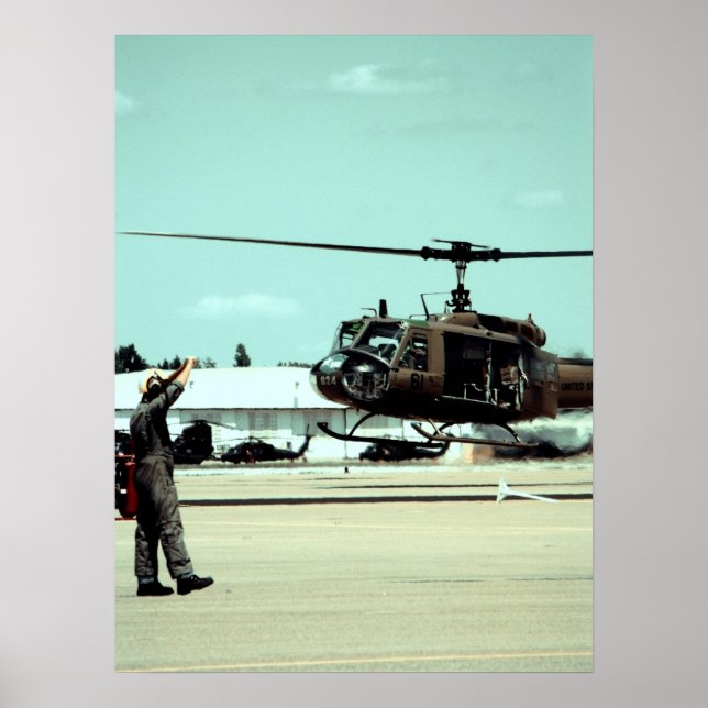 Landning av fågeln poster (Framsidan)