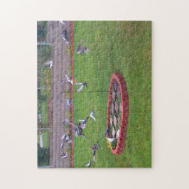 Landning av gnagare som tar ut matarpussel från få pussel