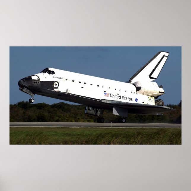 Landning av utrymmesskyttelavur (STS-113) Poster (Framsidan)