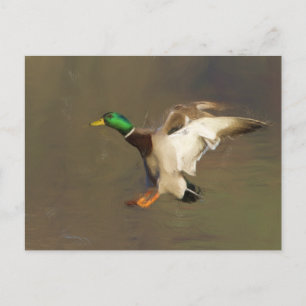 Landning Drake Vykort