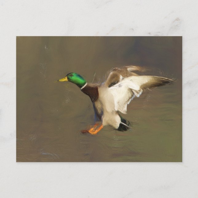 Landning Drake Vykort (Framsida)