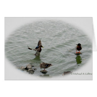 Landning Hälsningskort