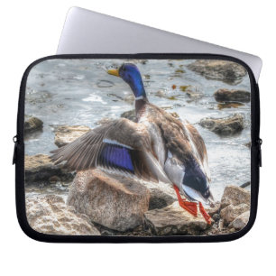 Landning Mallard Anka Drake 10 Wildlife Photo Laptop Fodral