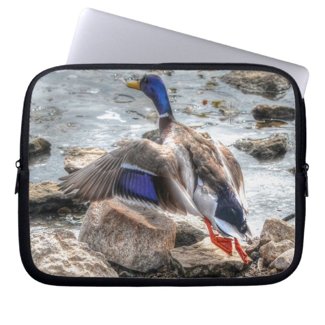 Landning Mallard Anka Drake 10 Wildlife Photo Laptop Fodral (Framsidan)