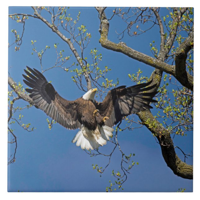 Landningsinflygning  kakelplatta (Framsidan)