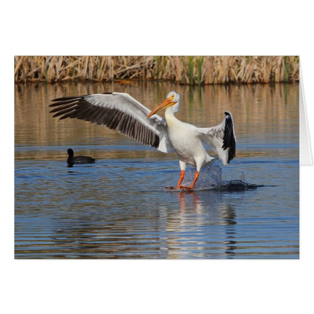 Landningsögonblick Hälsningskort (Framsidan Horizontal)