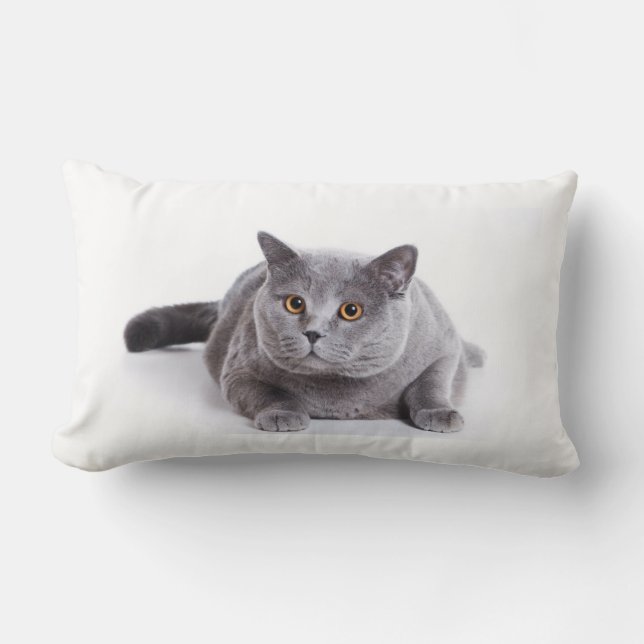 Ländryggskudde - katt lumbarkudde (Framsida)