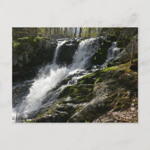 Lands Run Falls Vykort