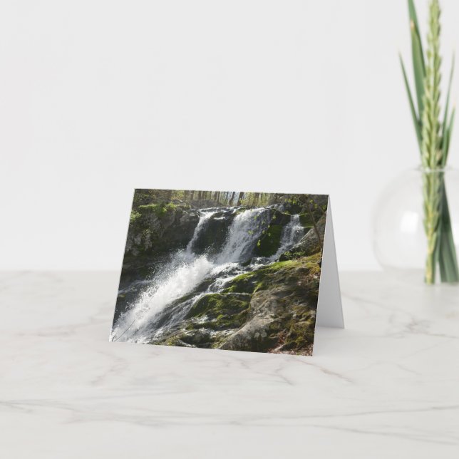 Lands Springa Falls Kort (Framsida)