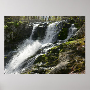 Lands Springa Falls Poster