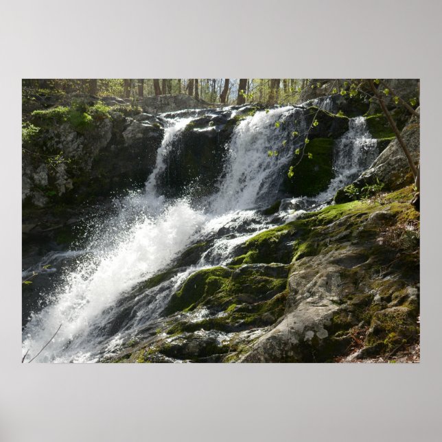 Lands Springa Falls Poster (Framsidan)