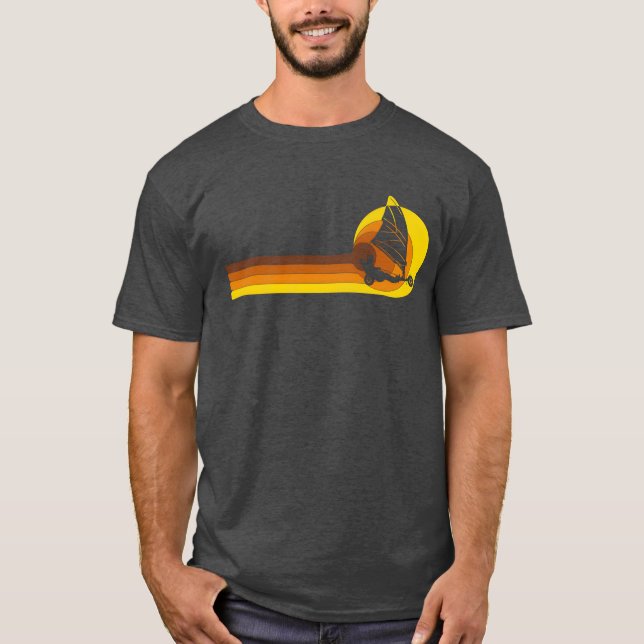 Landsailer Landsailing Windracer 70-talets vänner T Shirt (Framsida)